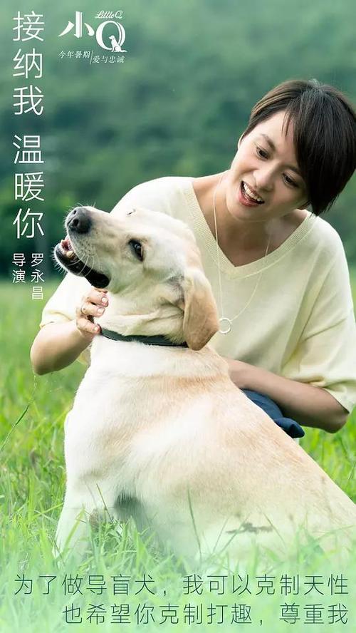 哪里有做假毕业证书的
